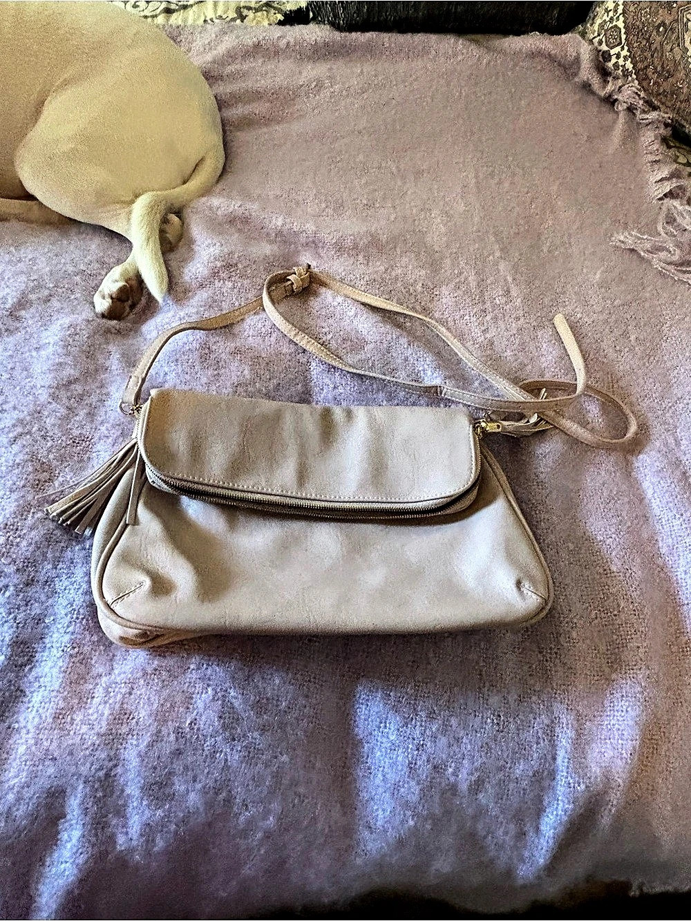 Light pink Crossbody Bag
